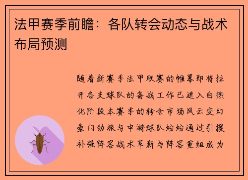 法甲赛季前瞻：各队转会动态与战术布局预测